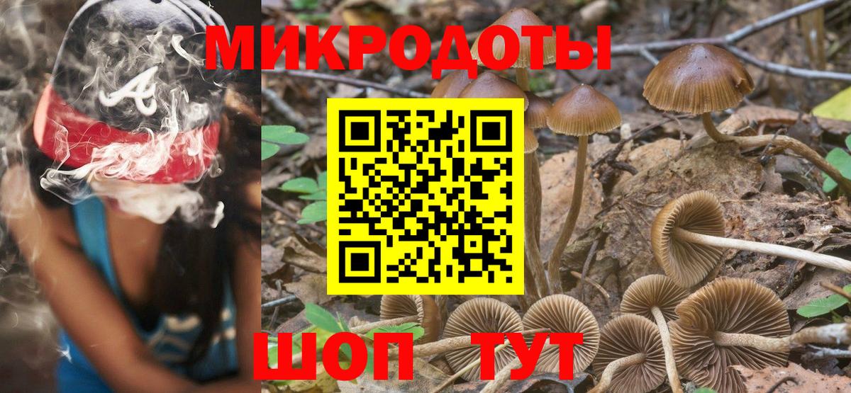 Псилоцибиновые грибы Psilocybe  Вход с VPN  Псков 