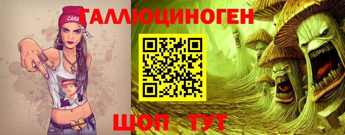 Галлюциногенные грибы GOLDEN TEACHER Псков